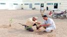 مدير تربية الحديدة يطلق مبادرة تشجير المدارس في الخوخة...