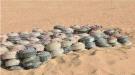 “مسام ” ينزع 5192 لغما حوثيا منذ بداية يونيو الجاري...