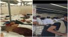 الحجاج اليمنيون يشكون قصور الخدمات في مخيمات منى ويحملون وزارة الأوقاف المسؤولية...