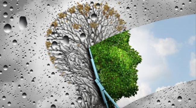 أبرزها الثوم.. 5 أطعمة هي مفاتيح تجديد الخلايا وإبطاء الشيخوخة ...