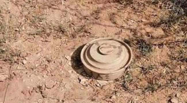 استشهاد تربوي إثر انفجار عبوة ناسفة من مخلفات مليشيا الحوثي بمحافظة الضالع ...