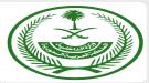 الداخلية السعودية: تأشيرات الزيارة لا تسمح بأداء الحج وعقوبات مالية وترحيل بحق المخالفين...