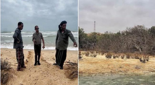فريق من وزارة المياه والبيئة يتفقد موقع الدمر وغابة المانجروف بمحافظة المهرة ...