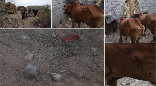 قصف حوثي يستهدف قرى شرق حيس ويُلحق أضراراً بممتلكات المواطنين