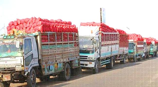 الحوثيون يفرضون جبايات جديدة على مزارعي البصل.. معاناة تتفاقم في ظل ارتفاع التكاليف ...