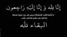 قائد الأمن المركزي بالحديدة يقدم واجب العزاء في وفاة نجل الشيخ انور الشميري...