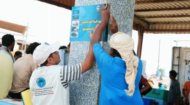 حماية البيئة بالحديدة تطلق حملة موسعة لحماية السلاحف البحرية المهددة بالانقراض ...
