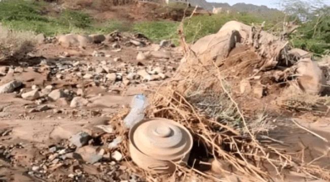 الحديدة.. ألغام المليشيا الحوثية تحرم آلاف الأسر من أراضيها الزراعية وسط عمليات ابتزاز مالي ممنهج للتطهير ...