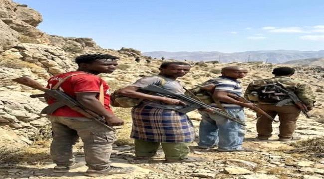 فوضى أمنية في حدود صعدة: عصابات مسلحة تفرض إتاوات قسرية على المسافرين ...