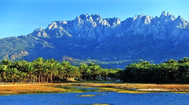 اللجنة الأمنية بسقطرى تعتمد خطة تأمين المحافظة خلال إجازة عيد الفطر المبارك ...